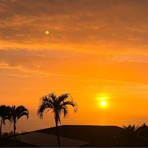 Meet your Posher, Dennis